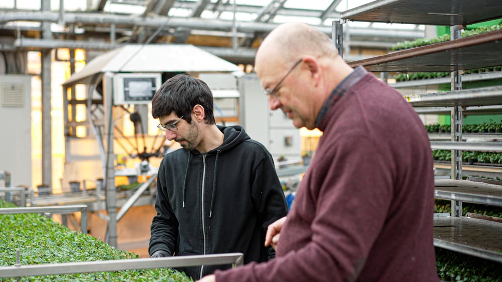 Torben Moth Madsen at Rosa Danica greenhouse with transplanting robot