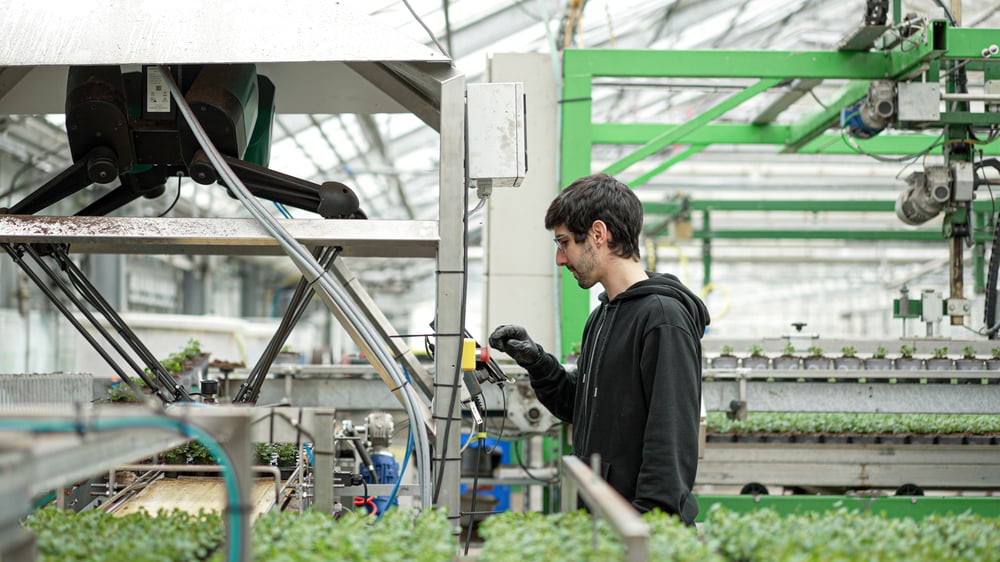 Greenhouse worker supervising collaborative robot in horticulture production