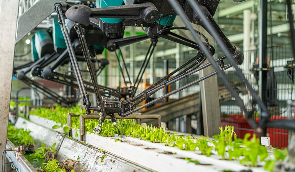 4X robots pulling out plugs from gutters in US greenhouse