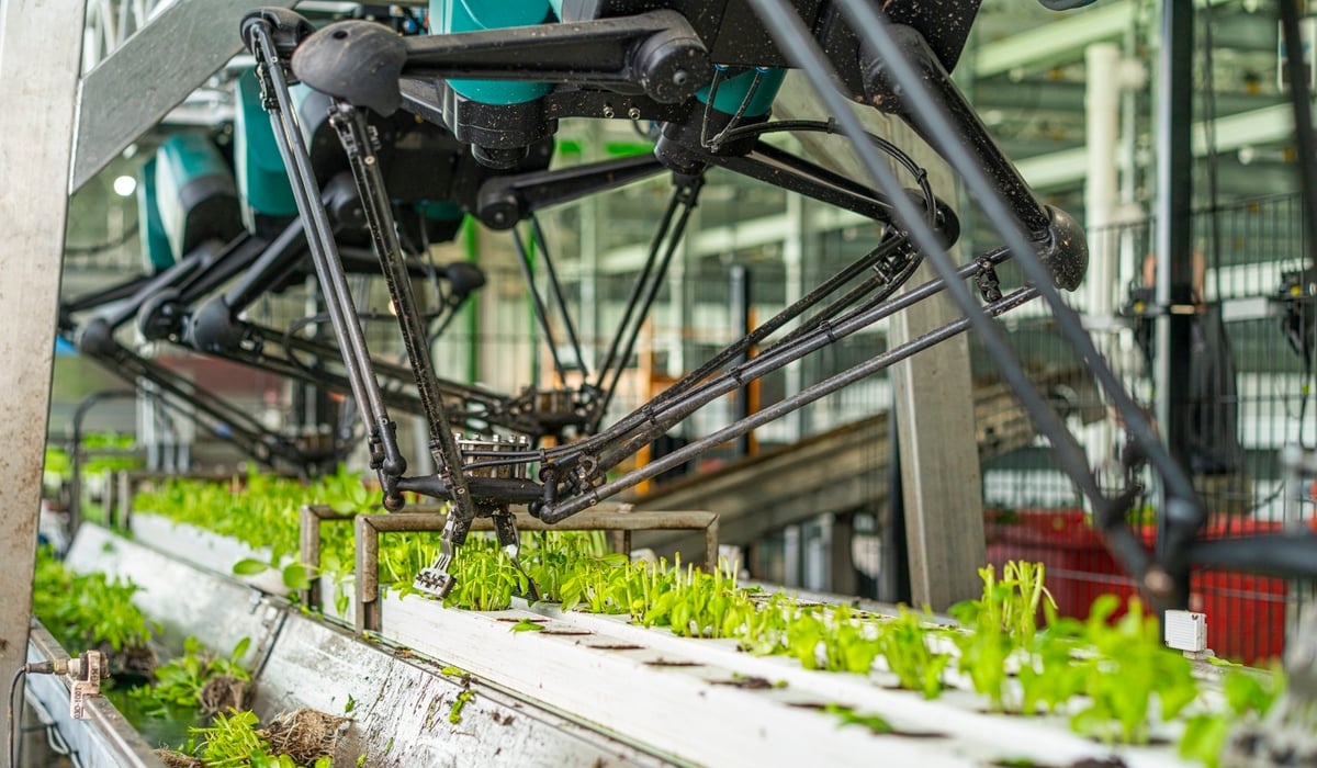 4X robots pulling out plugs from gutters in US greenhouse