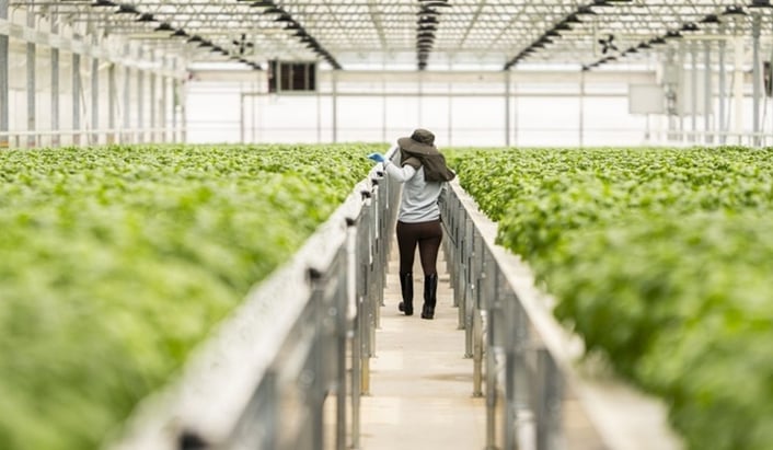 Goodness Gardens_care_web_720x420