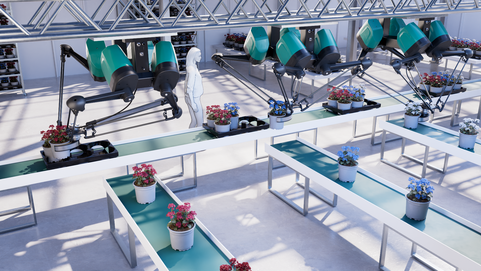 Application_pot to tray