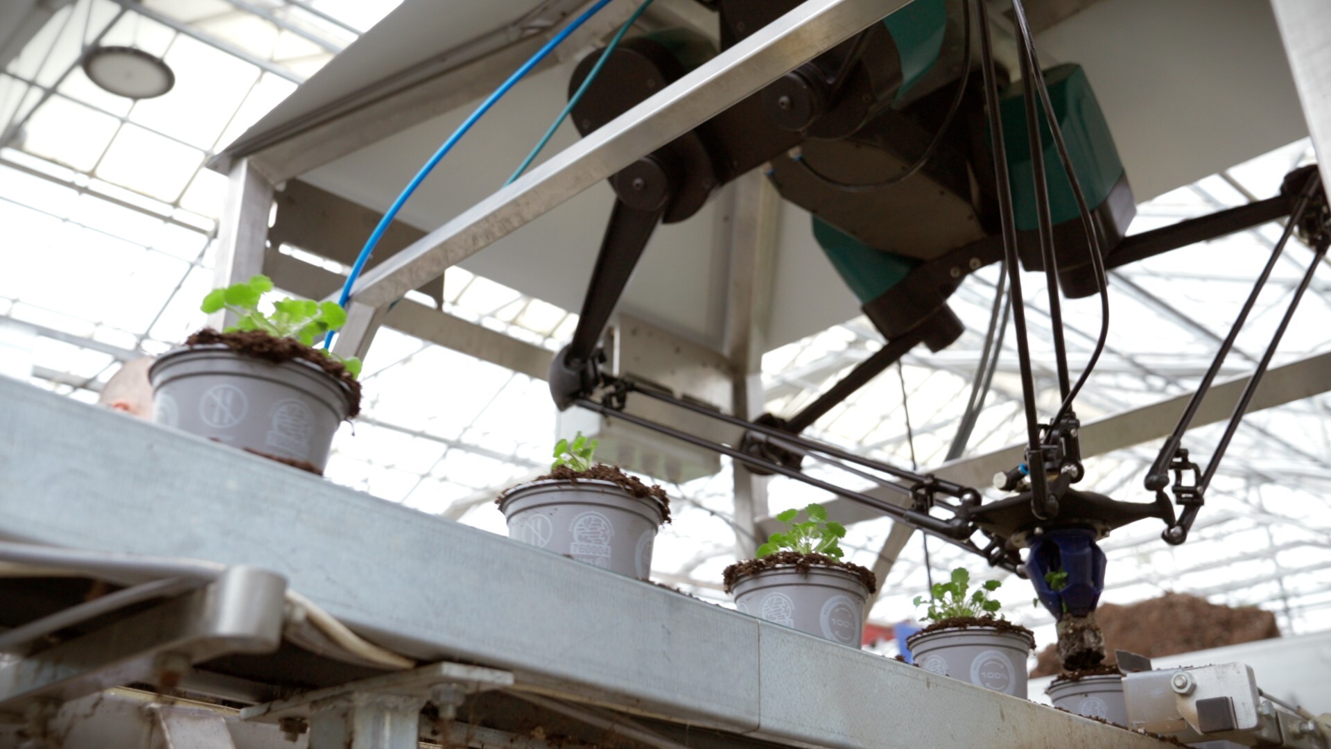 RosaDanica_easy installation_3